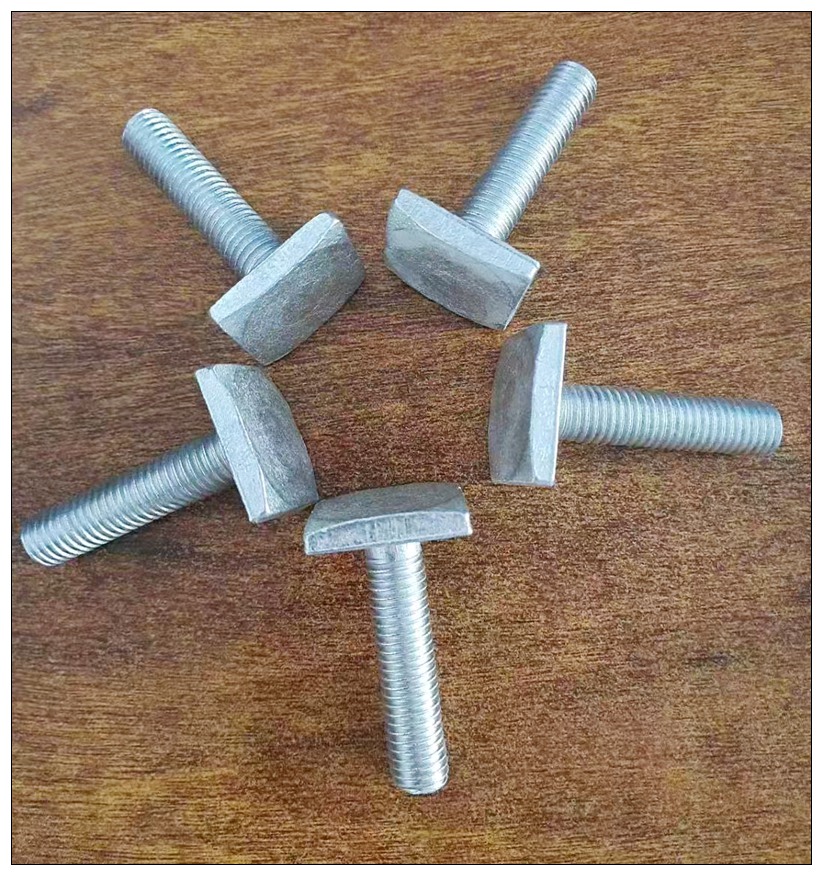 20250216120227_95745.jpg